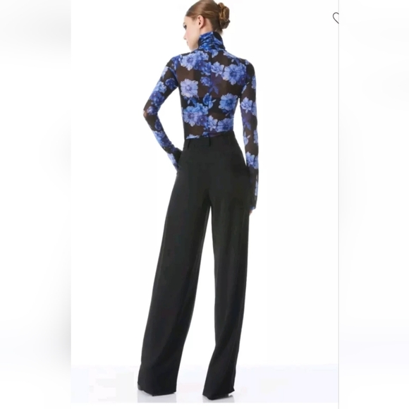 Alice + Olivia DELAINA LONG SLEEVE TURTLENECK MESH TOP SIZE XL - Picture 11 of 16